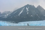b3_Monacobreen_16Sept08_23_E