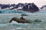 d1_Monacobreen_15Sept12_094_E