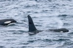 241106_Kvaenangen_12_E