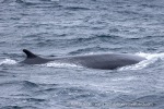 241106_Kvaenangen_48_E