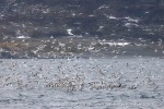 241106_Kvaenangen_64_E