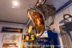241109b_Hamnes_08_E