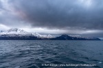 241110_Lyngenfjord_50_E