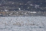 241106_Kvaenangen_64_E
