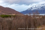 241113_Manndalen_18_E