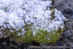 241114_Manndalen_06_E