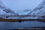 241115_Reinfjord_04_E