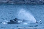 241116b_Kvaenangen_16_E