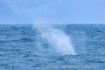 241117a_Kvaenangen_01_E