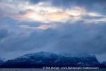 241117a_Kvaenangen_05_E