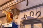 241118_Hamnes_31_E