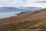 200721b_Deltaneset_621_E