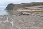 240730_Fredheim_084_E
