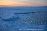 220311d_Fredheim_13_E