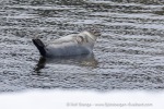 220504a_Midterhukhamna_063_E