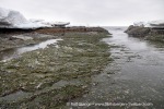 220504a_Midterhukhamna_085_E