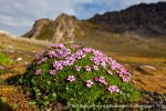 a5v_Midterhukhamna_30Juli14_074_E
