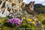 a5v_Midterhukhamna_30Juli14_094_E