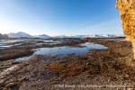 b1n_Midterhukhamna_22Sept14_001_E