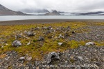 220807_Trygghamna_33_E