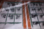 250110_Longyearbyen_42_E