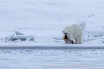 220505d_Ymerbukta_30_E
