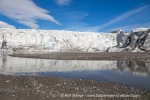 230717a_Ymerbukta_072_E