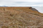 170712c_Erdmannodden_02_E