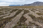 170729a_Erdmannflya_031_E