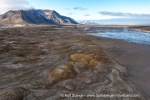 190711b_Ymerbukta_31_E