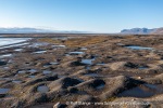 240907a_Tundraodden_01_E