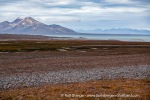 b1j_Erdmannflya_05Aug15_270_E