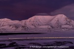250130b_Kuhaugen_06_E