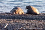 210808_Ratangen_27_E