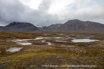 180727c_Tundraodden_16_E