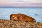 210808_Ratangen_12_E