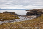 240726_Bohemanflya_004_E