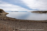 240726_Bohemanflya_163_E