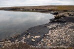 240726_Bohemanflya_201_E
