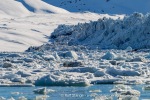 170531d_Yoldiabukta_08_E