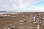 240813a_Tombolooya_038_E