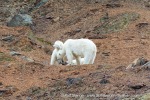 240814a_Hansoya_54_E