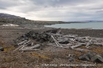240814b_Franklindalen_039_E