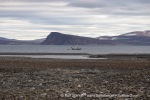240814b_Franklindalen_173_E