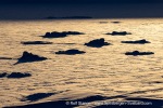 230310f_Teistpynten_20_E