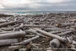 a7r_Depotodden_16Aug14_052_E