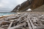 a7r_Depotodden_16Aug14_059_E
