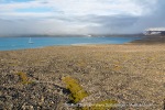 170803f_Jaderinfjord_046_E