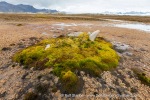 180816b_Kapp-Borthen_001_E