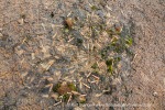 a7p_Kapp-Borthen_12Juli15_417_E